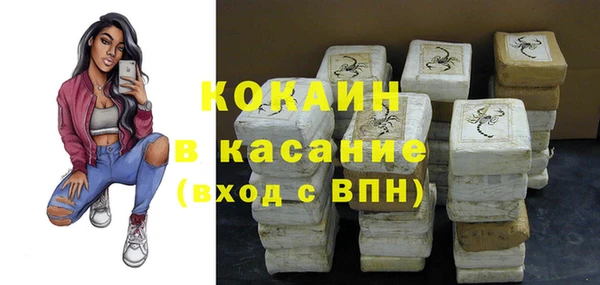 стафф Бородино