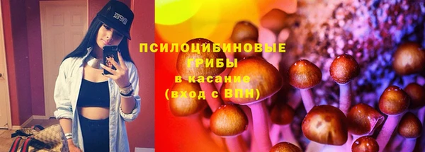 стафф Бородино