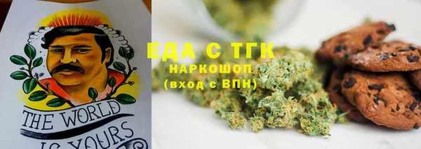 стафф Бородино