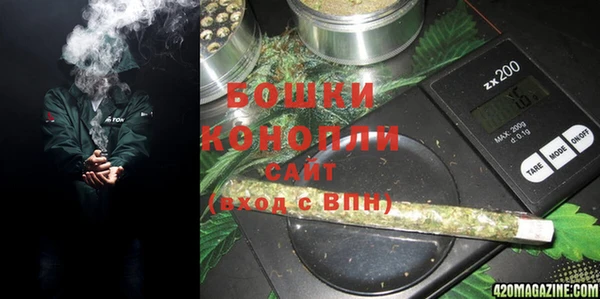 стафф Бородино
