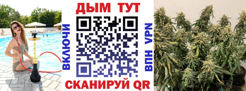 Бошки марихуана THC 21%  Орехово-Зуево 